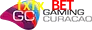 Gaming License